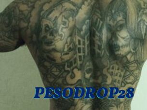PESODROP28