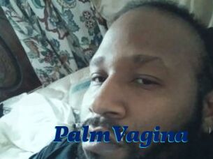 PalmVagina