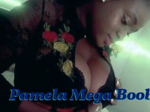 Pamela_Mega_Boobs