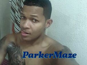 Parker_Maze