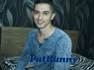 PatBunny