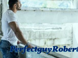 PerfectguyRobert