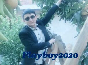 Playboy2020