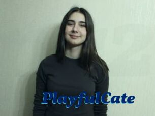 PlayfulCate
