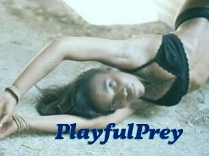 PlayfulPrey