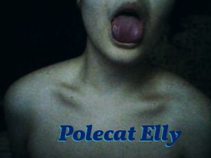 Polecat_Elly