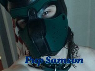 Pup_Samson