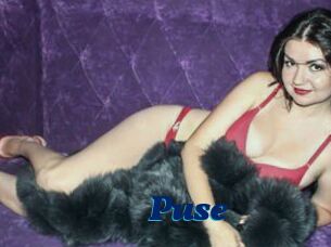 Puse