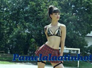 Pamelalaatinhot