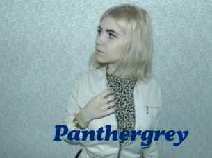 Panthergrey