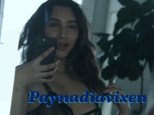 Paynadiavixen