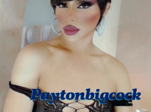 Paytonbigcock