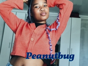 Peanutbug