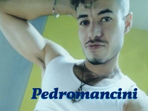 Pedromancini