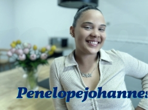 Penelopejohannes
