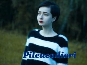 Pileacadieri