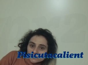 Pisicutacalient