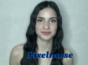 Pixelmuse