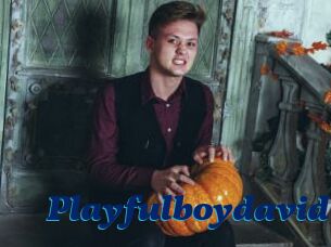 Playfulboydavid