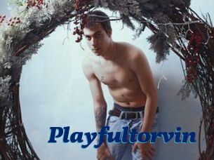 Playfultorvin