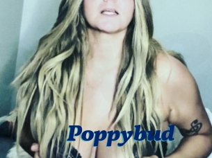 Poppybud