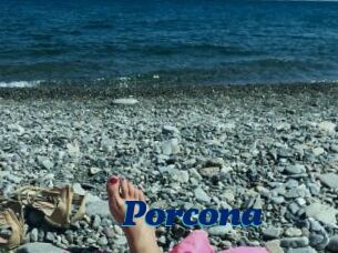 Porcona