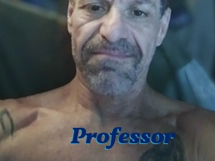 Professor