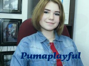Pumaplayful
