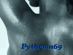 Pytbrwn69