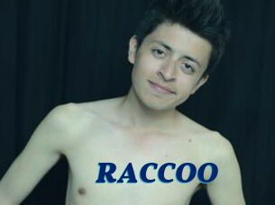 RACCOO