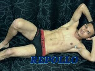 REPOLLO