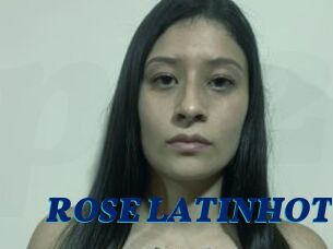 ROSE_LATINHOT