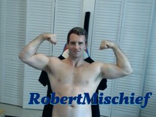 RobertMischief