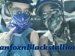 RussianfoxnBlackstallion