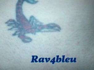 Rav4bleu
