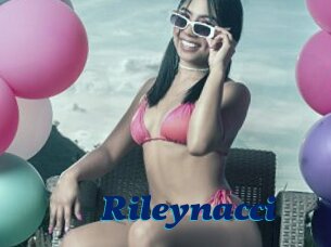 Rileynacci