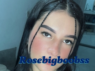 Rosebigboobss