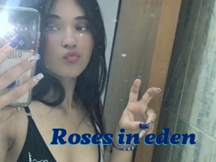 Roses_in_eden