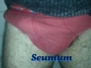Seumum