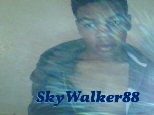 SkyWalker88