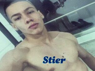Stier