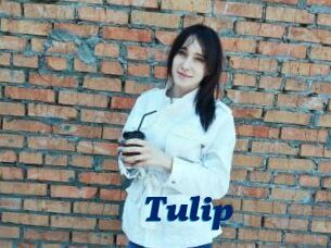 Tulip