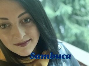 Sambuca