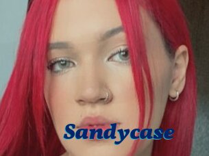 Sandycase