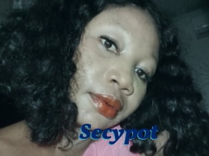 Secypot