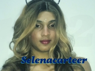 Selenacarteer