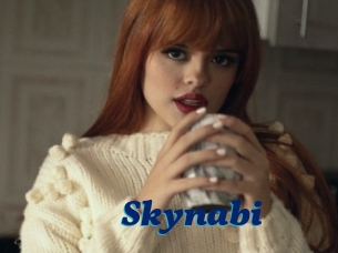 Skynabi
