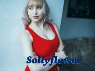 Sollyflower