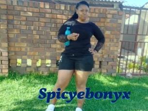 Spicyebonyx