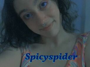 Spicyspider